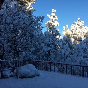 Meet your Posher, Roxanne